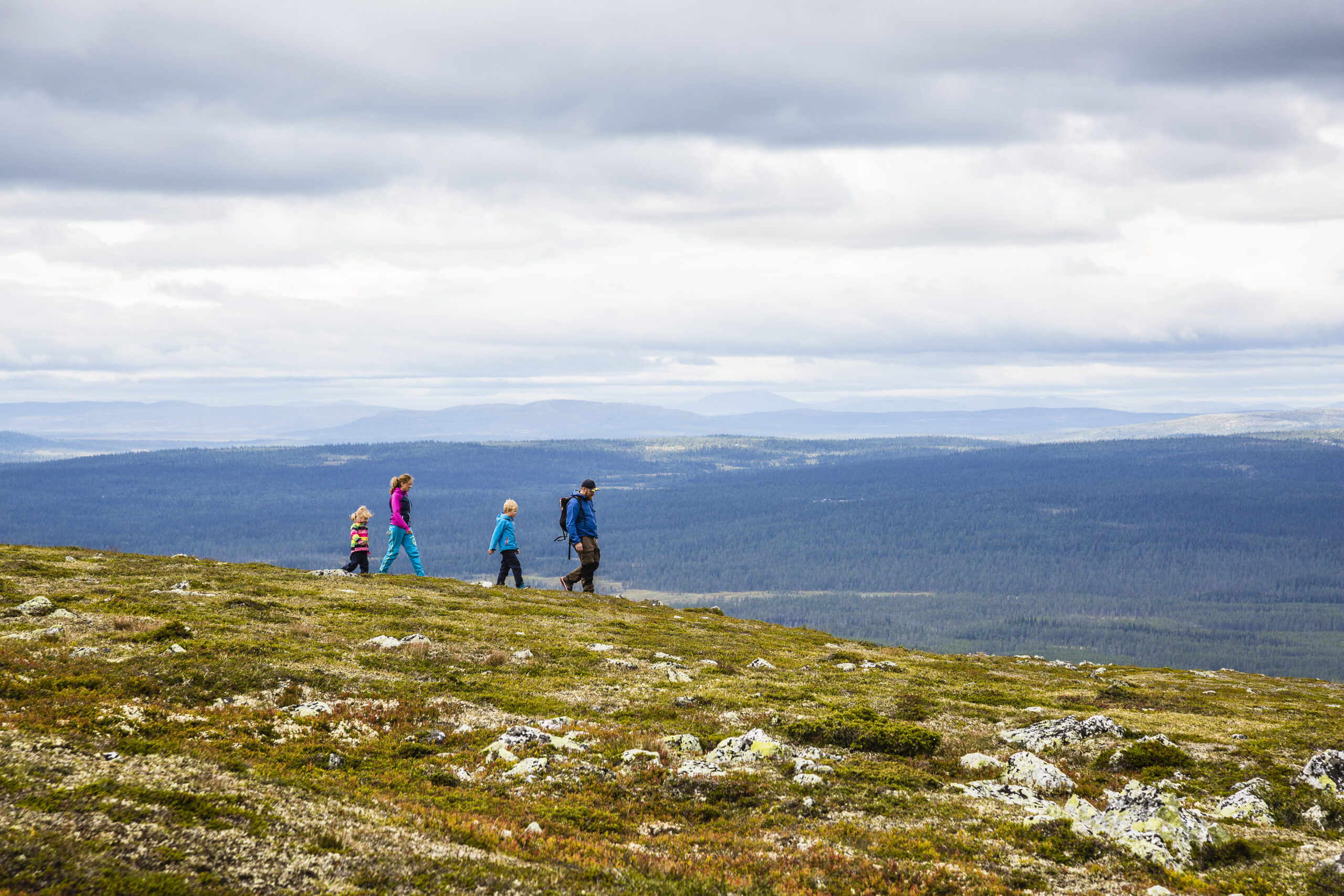 Lofsdalen