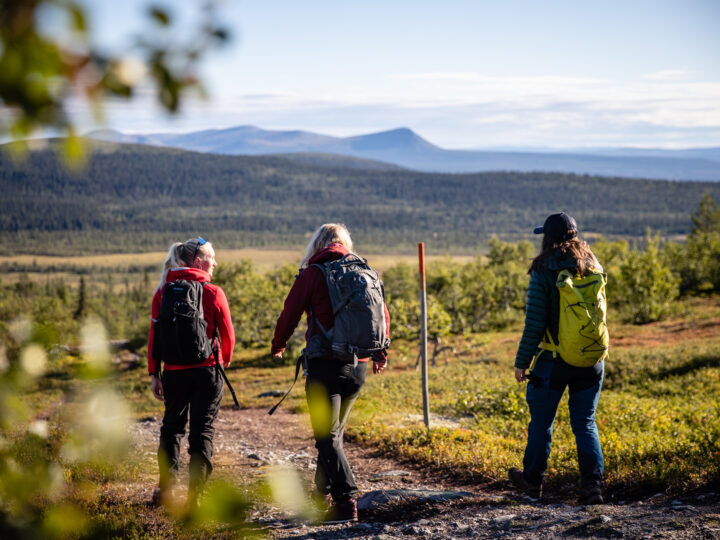 Aktivera dig i Lofsdalen