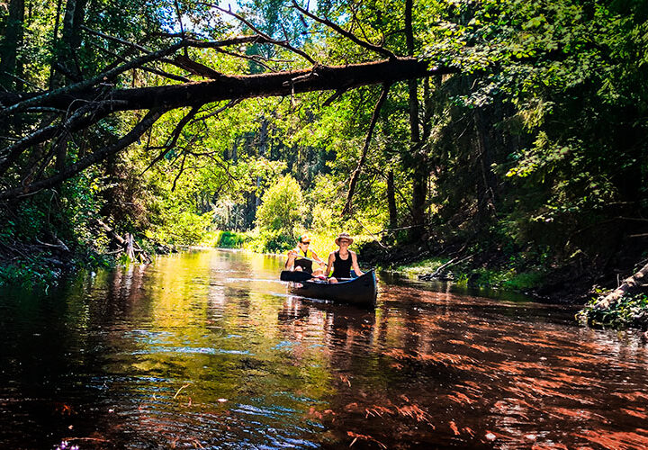 Kanotäventyr i Färnebofjärdens nationalpark