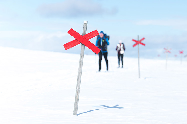 Skidåkning på tur