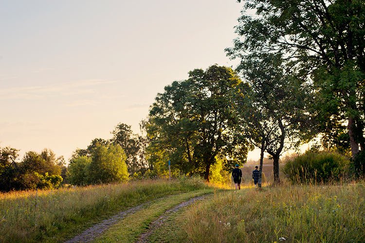 Basläger Bergslagen - Uskavirundan