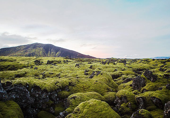 6 anledningar till att besöka Island