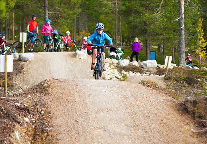 Glädje på två hjul i skogen