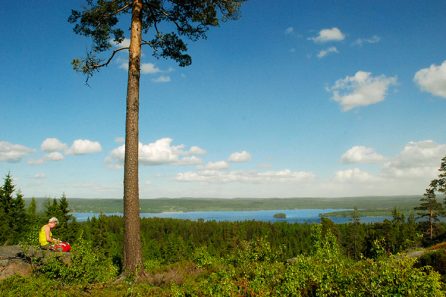 Vandra Rövarleden, Bokfallshöjden