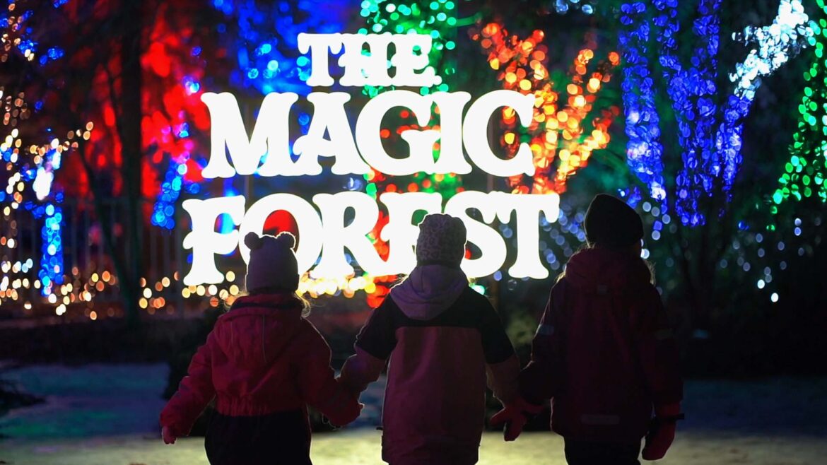 The Magic Forest i Örebro. Tre vinterklädda barn går mot fantasifulla ljusinstallationer.