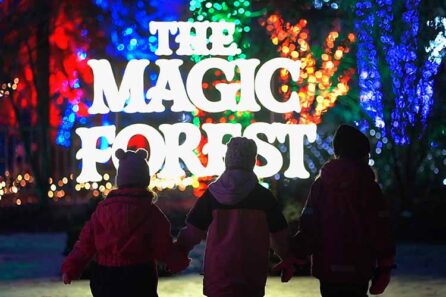 The Magic Forest i Örebro. Tre vinterklädda barn går mot fantasifulla ljusinstallationer.