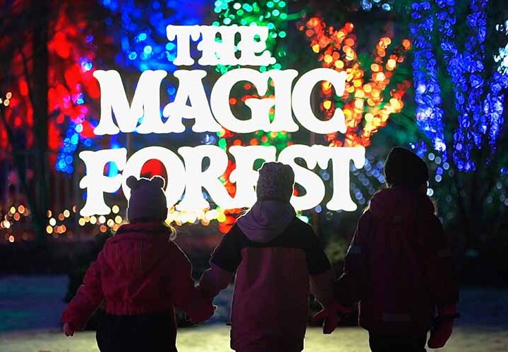 The Magic Forest – succén i Örebro är tillbaka