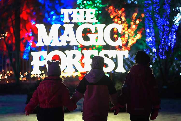 The Magic Forest i Örebro. Tre vinterklädda barn går mot fantasifulla ljusinstallationer.