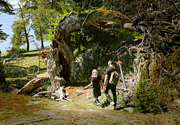 Vandra i Västmanland